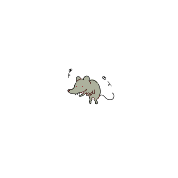 LoL Champion Assets